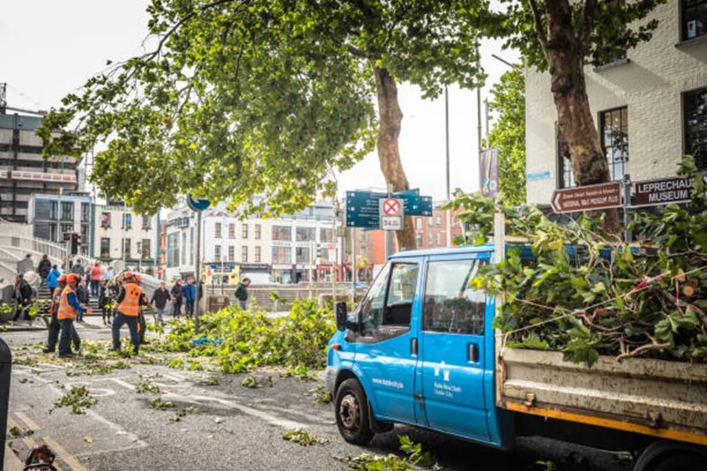 Emergency tree removal completed and driveway cleared in Akron, Ohio