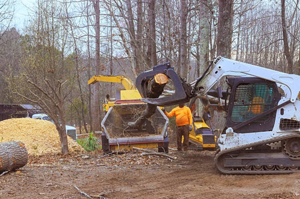 Hazardous tree safely removed from residential property in Akron, Ohio