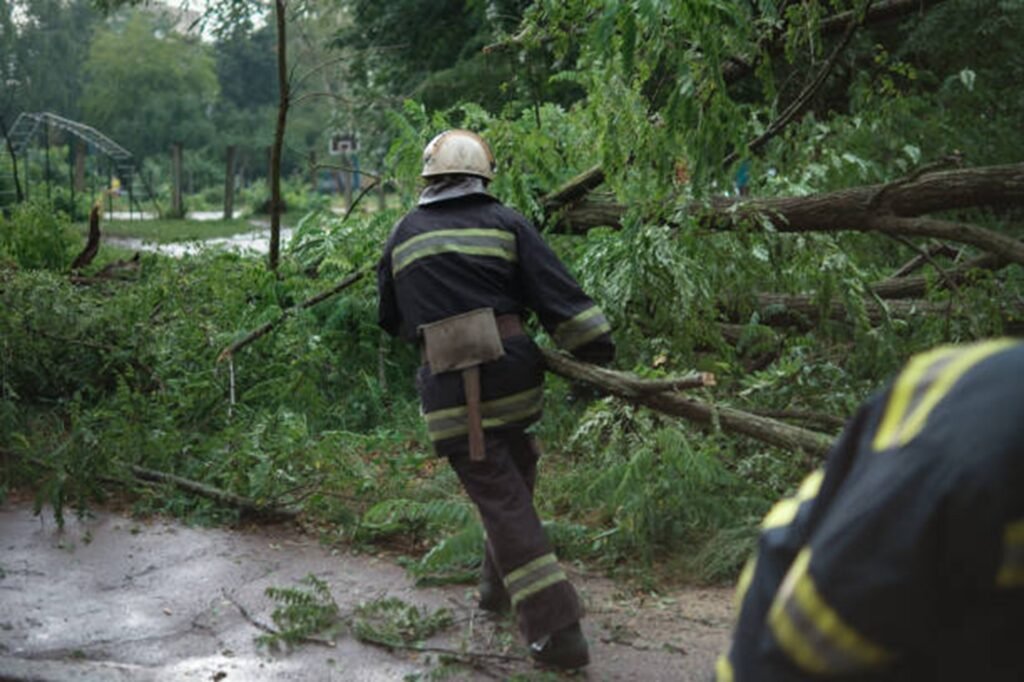 Emergency tree service crew removing storm-damaged tree near a home in Akron, Ohio