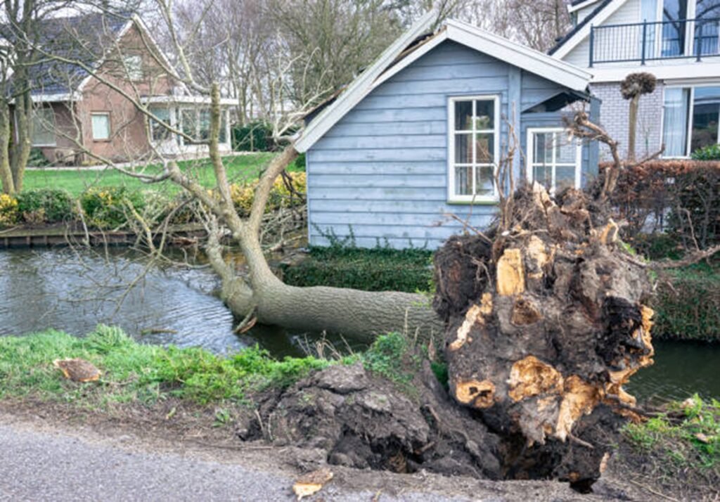 Storm damage cleanup with fallen tree and debris removal from residential property
