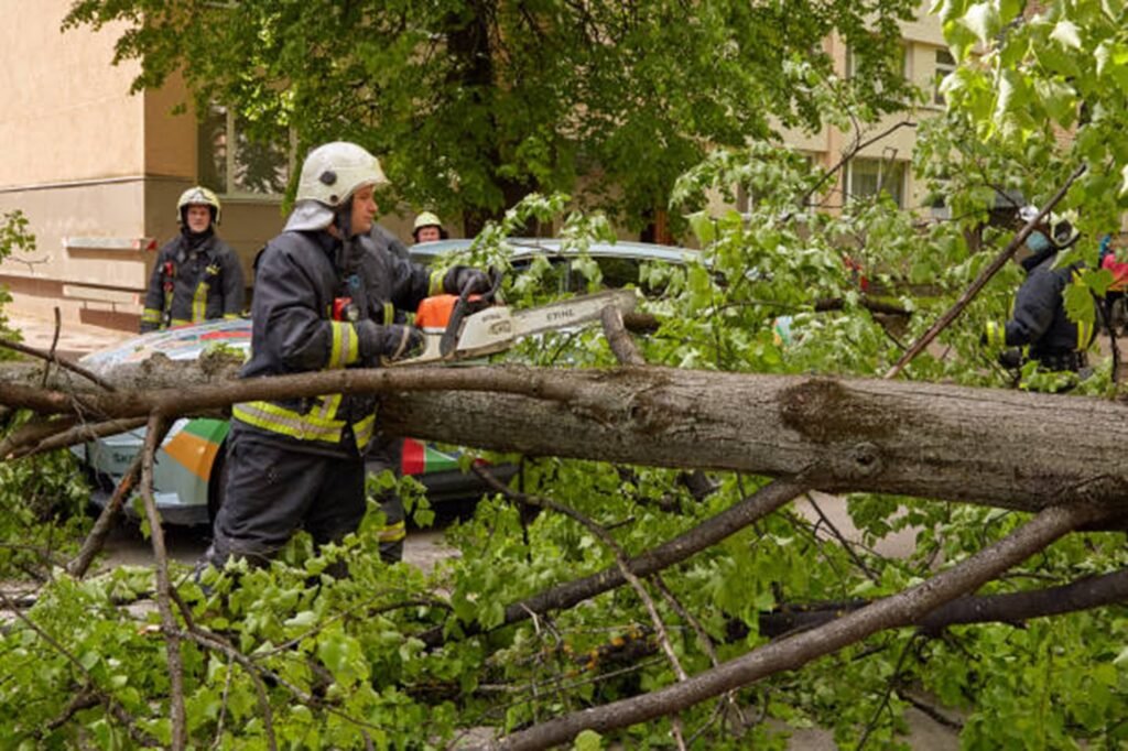 Emergency tree service crew removing a storm-damaged tree from a Akron, OH driveway